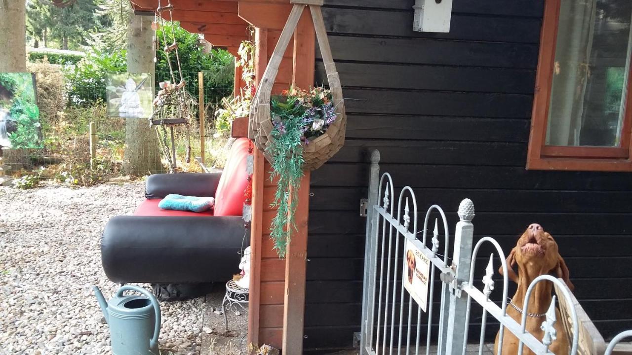 Chalet Op Een Rustig Park In De Natuur Putten Dış mekan fotoğraf