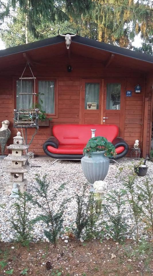 Chalet Op Een Rustig Park In De Natuur Putten Dış mekan fotoğraf