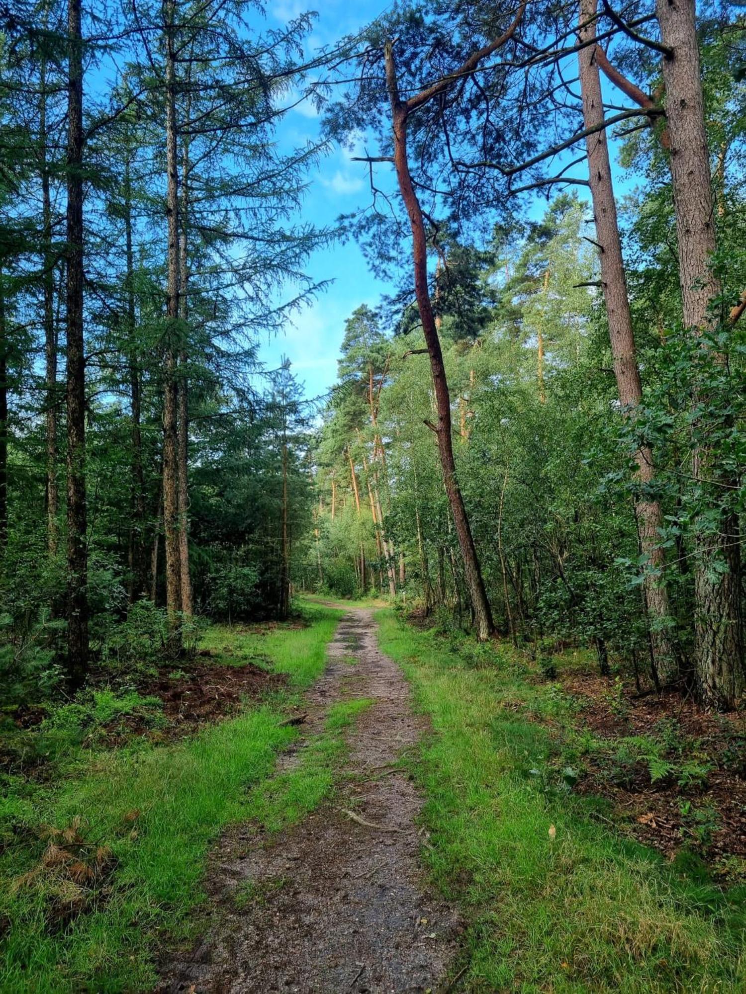 Chalet Op Een Rustig Park In De Natuur Putten Dış mekan fotoğraf