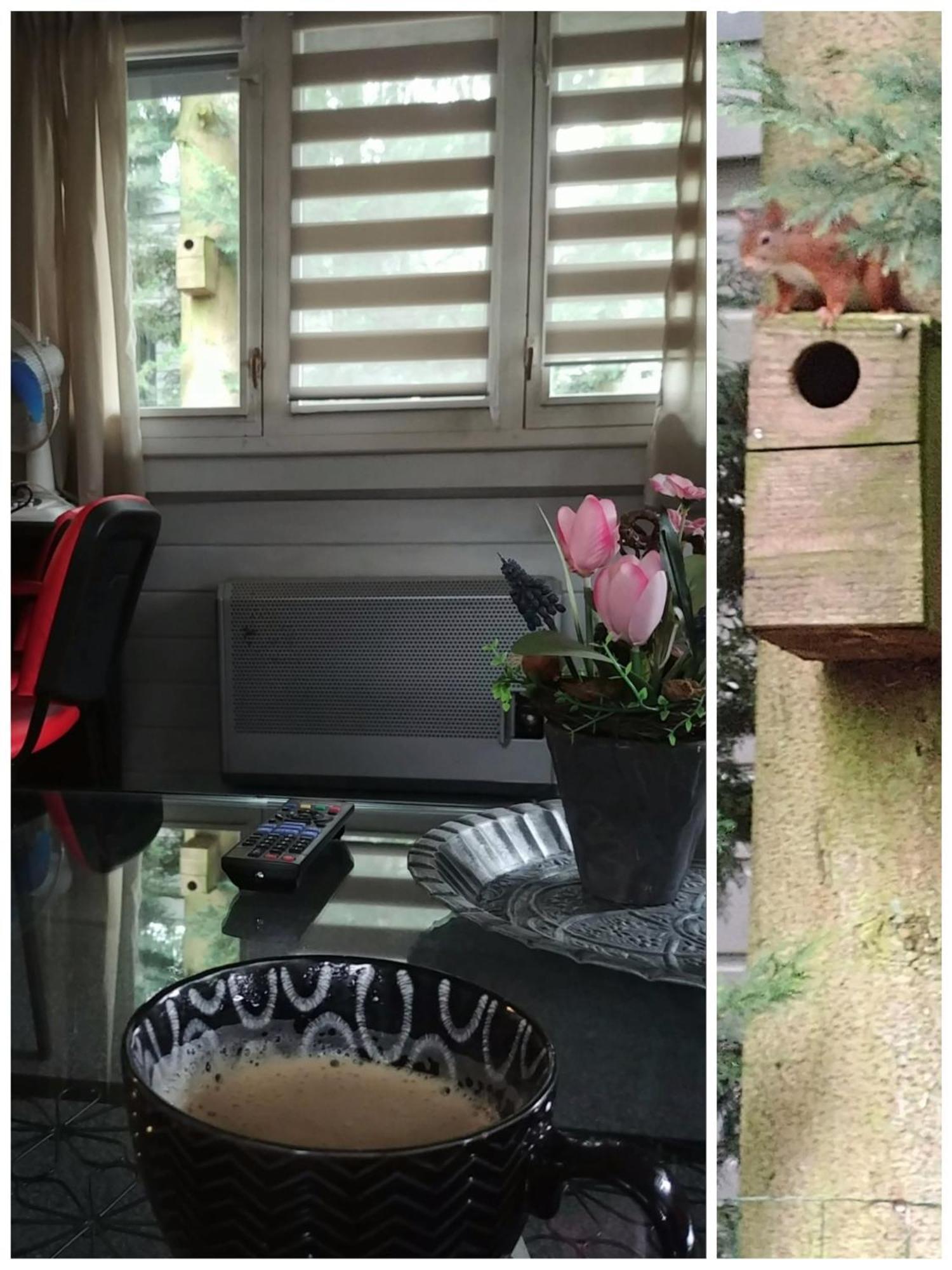 Chalet Op Een Rustig Park In De Natuur Putten Dış mekan fotoğraf