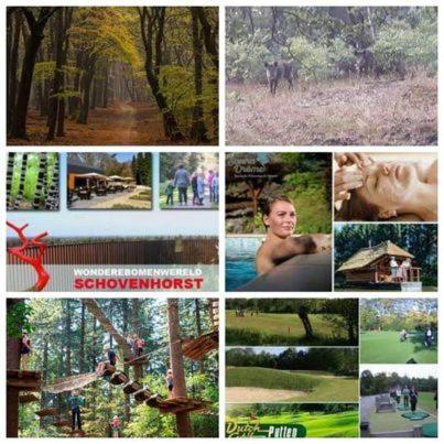 Chalet Op Een Rustig Park In De Natuur Putten Dış mekan fotoğraf
